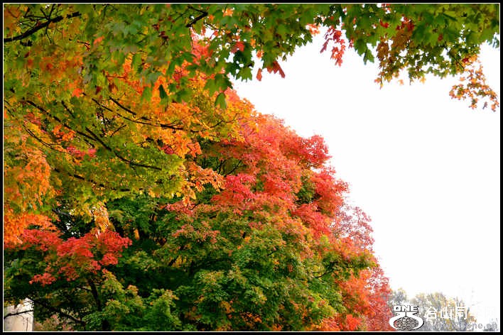 10.17.2012 Fall 142.jpg