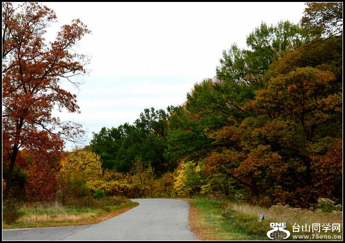 10.17.2012 Fall 345.jpg