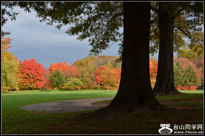 10.17.2012 Fall 180.jpg