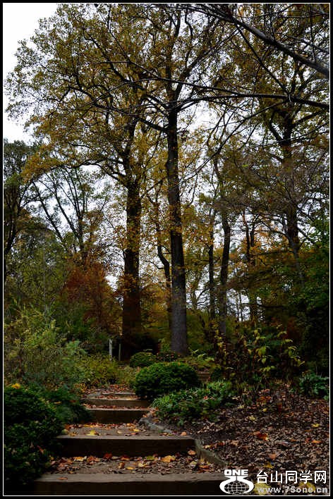 10.17.2012 Fall 424.jpg