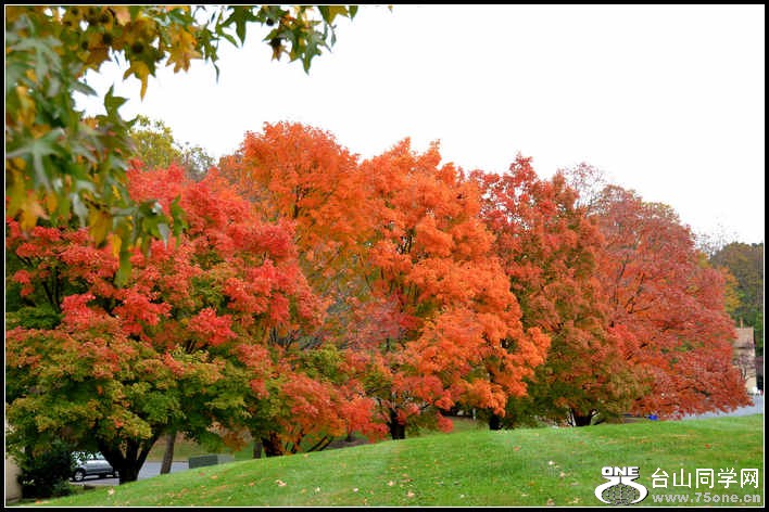 10.17.2012 Fall 152.jpg