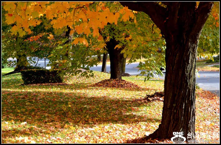 10.17.2012 Fall 016.jpg