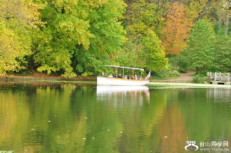 DSC_0978_.jpg