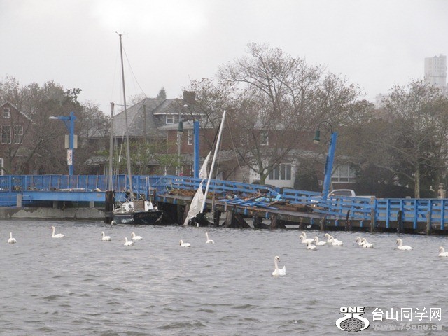 IMG_4589.JPG