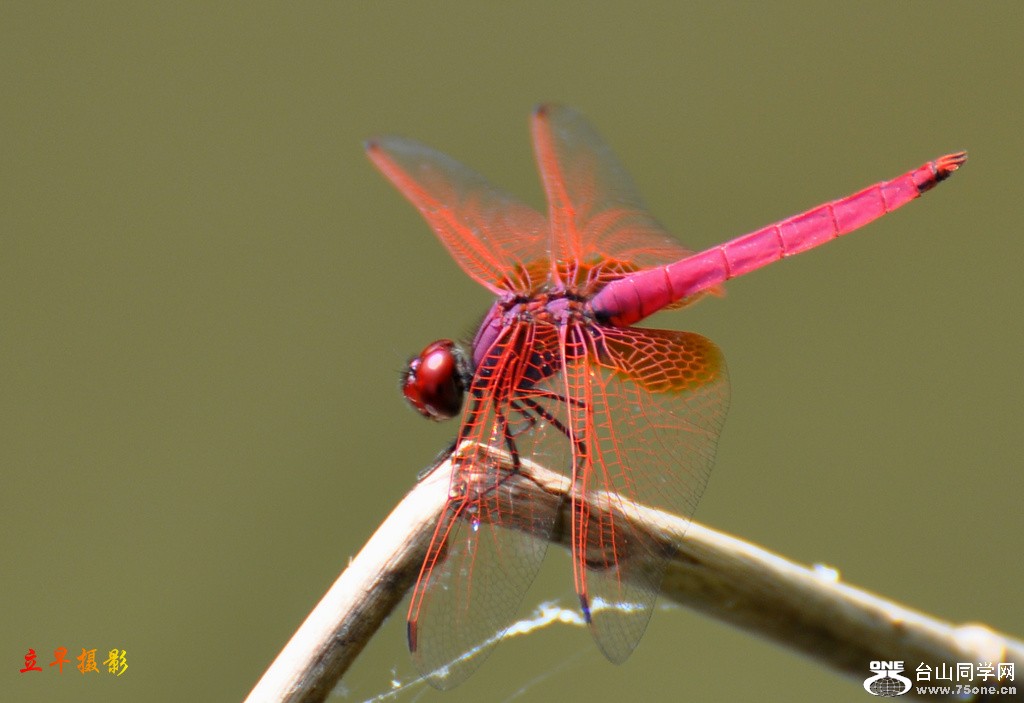 DSC_2990.JPG