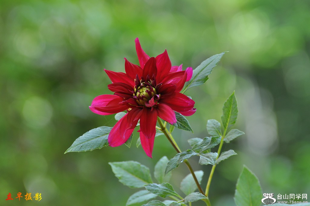 DSC_3044.JPG