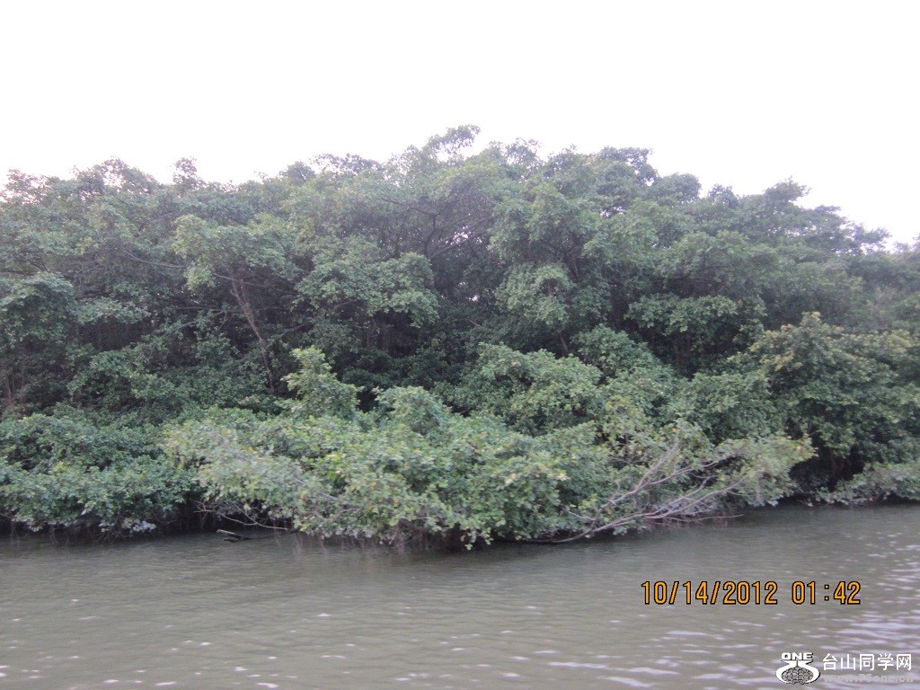 IMG_0829.JPG