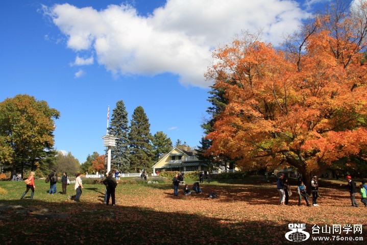 IMG_0208 (Small).JPG