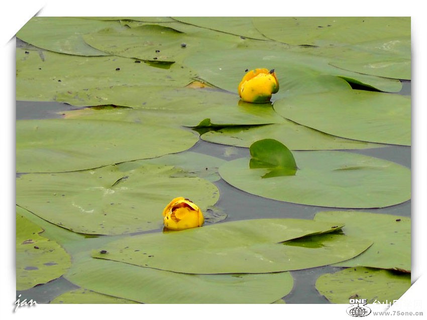 H2090098=.jpg