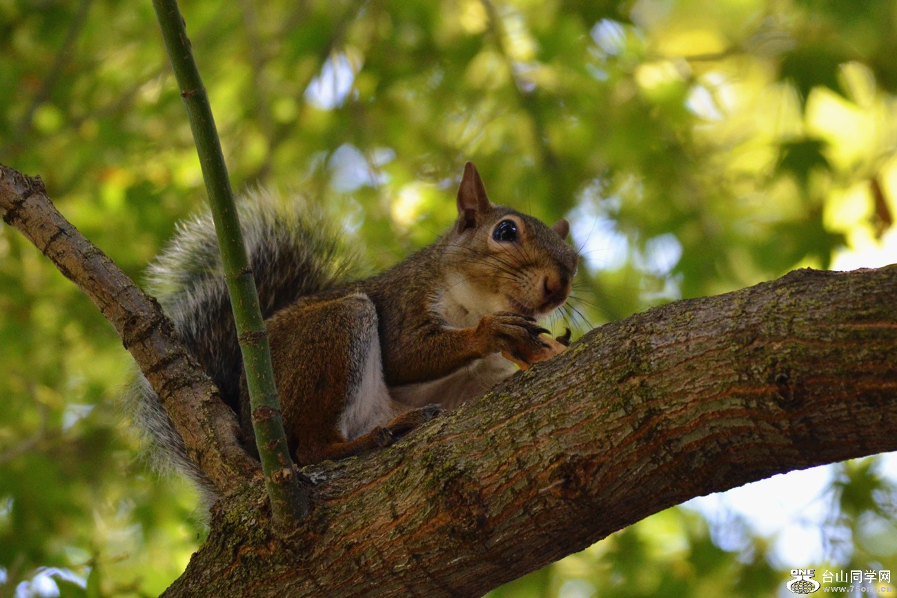 DSC_0231_27.jpg