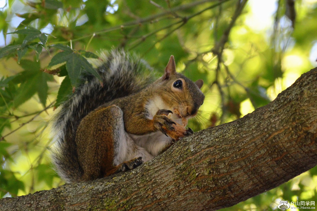 DSC_0241_28.jpg