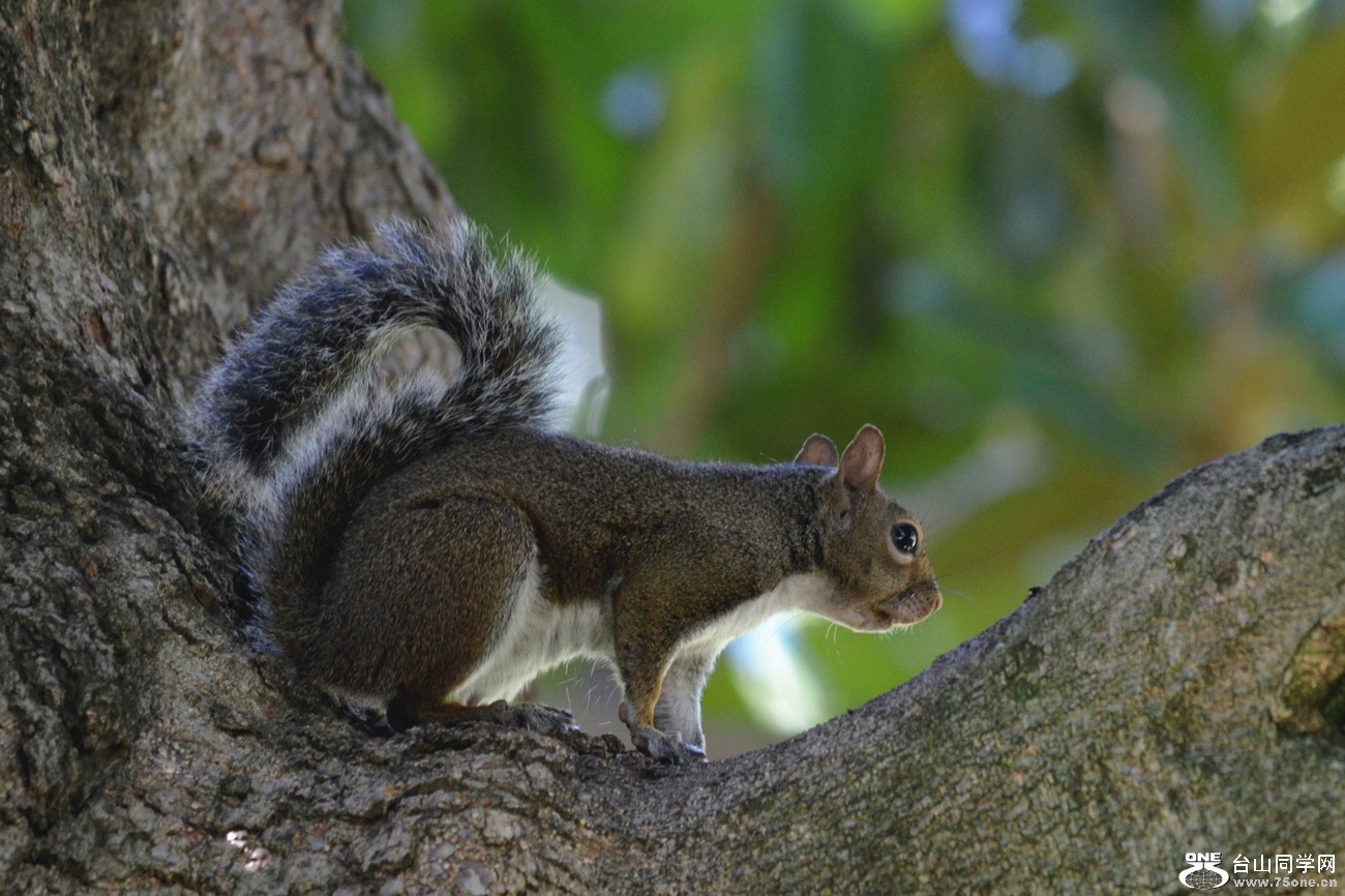 DSC_0807_33.jpg