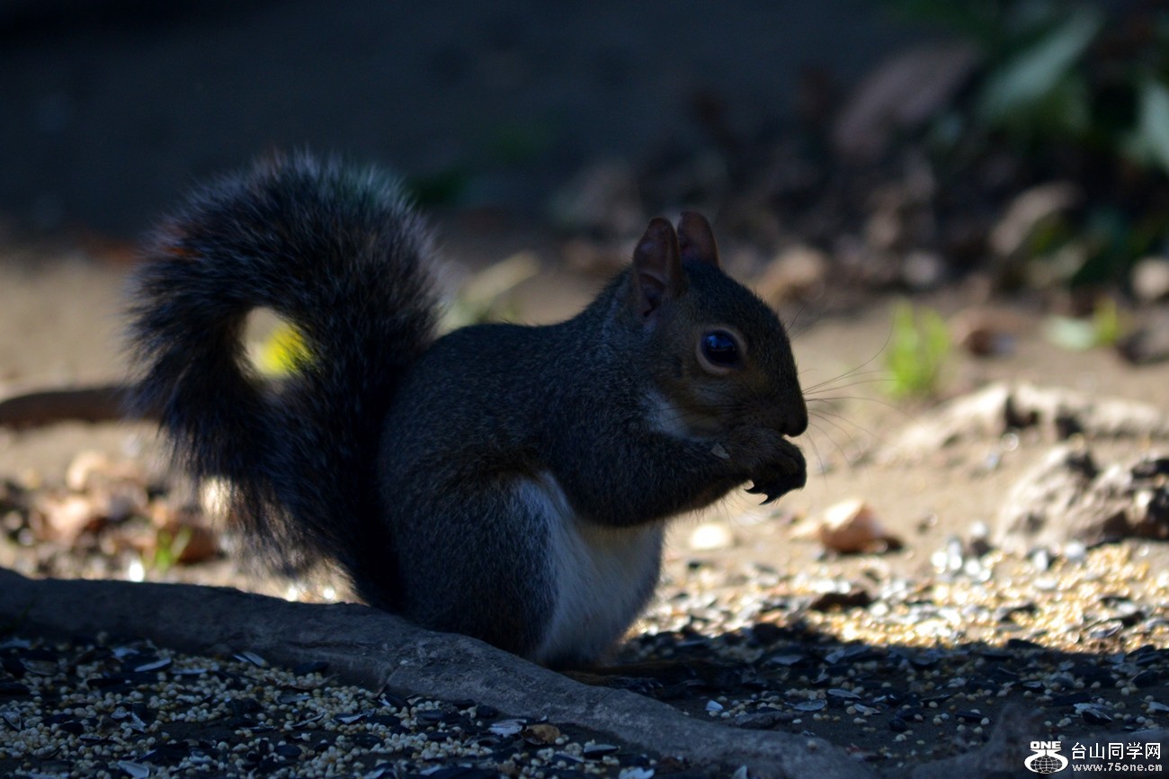 DSC_0025_8.jpg