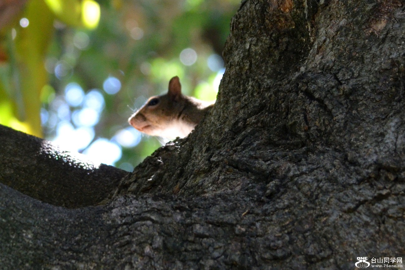 DSC_0900_29.jpg