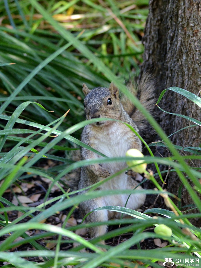 dsc_0616_02.jpg