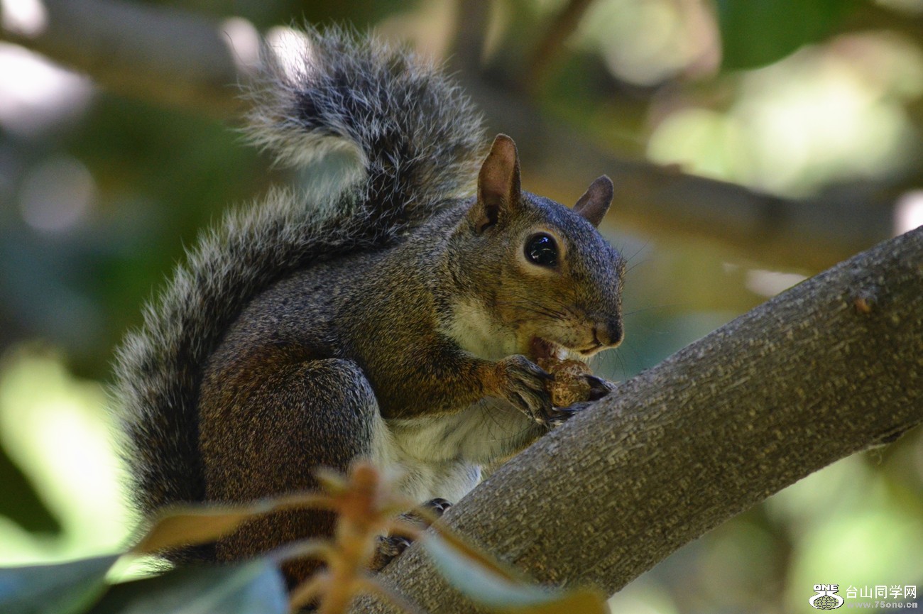 DSC_0778_36.jpg