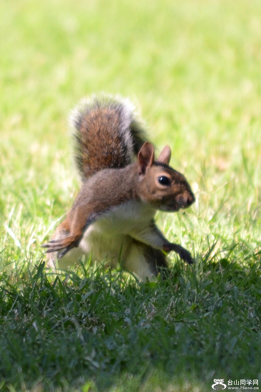 DSC_0092_05.jpg