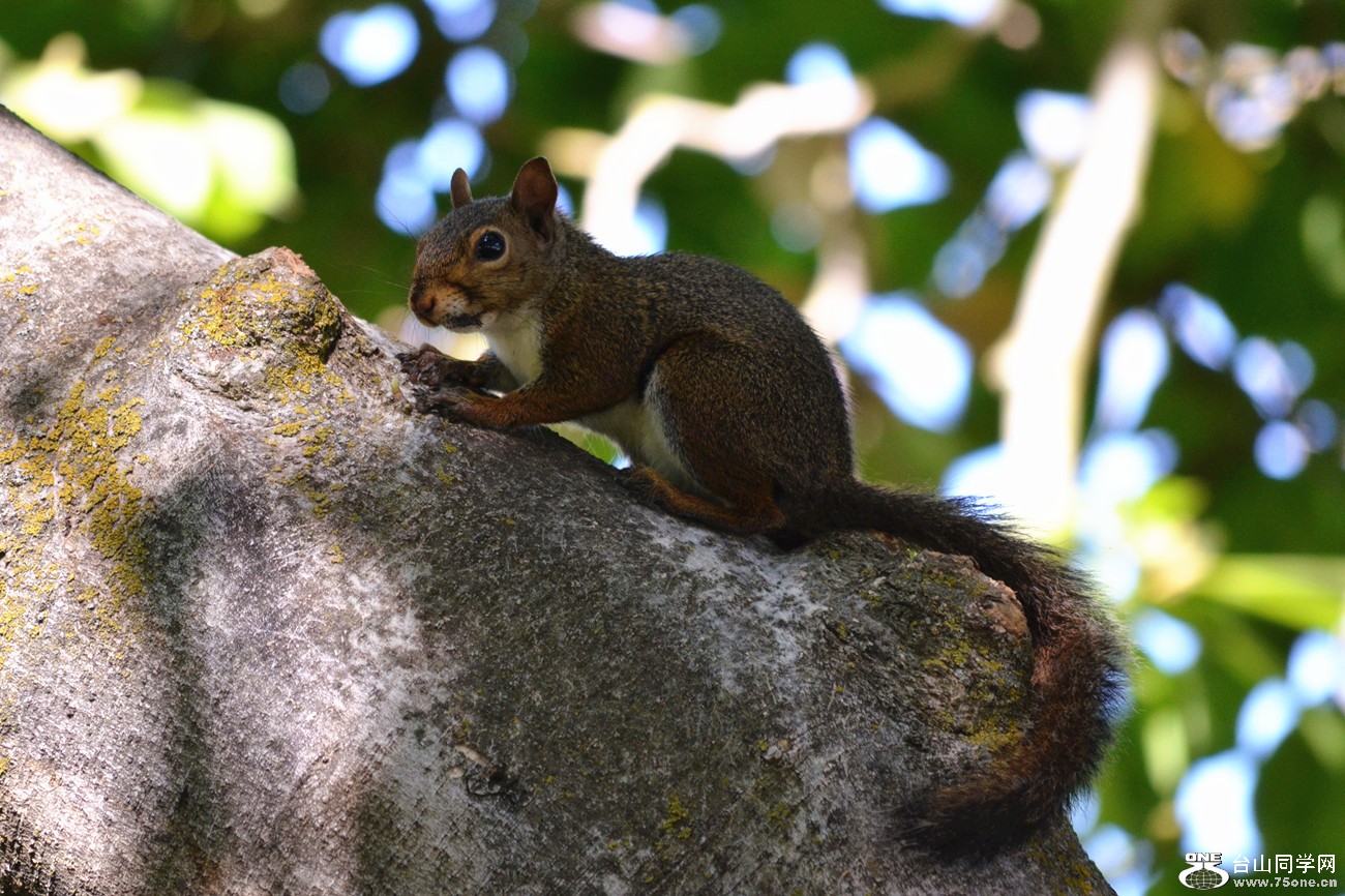 DSC_0721_28.jpg