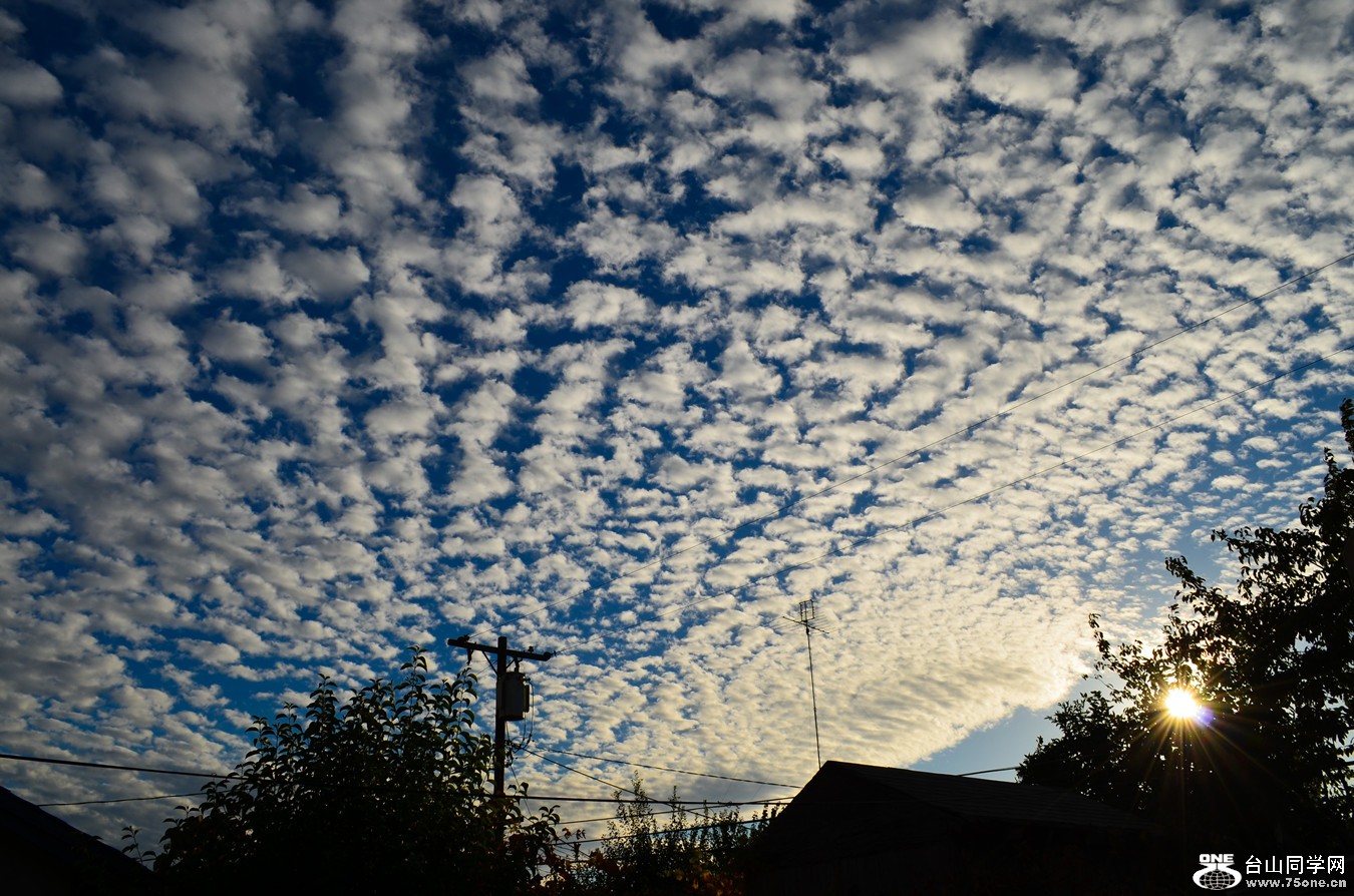 DSC_0306_32.jpg