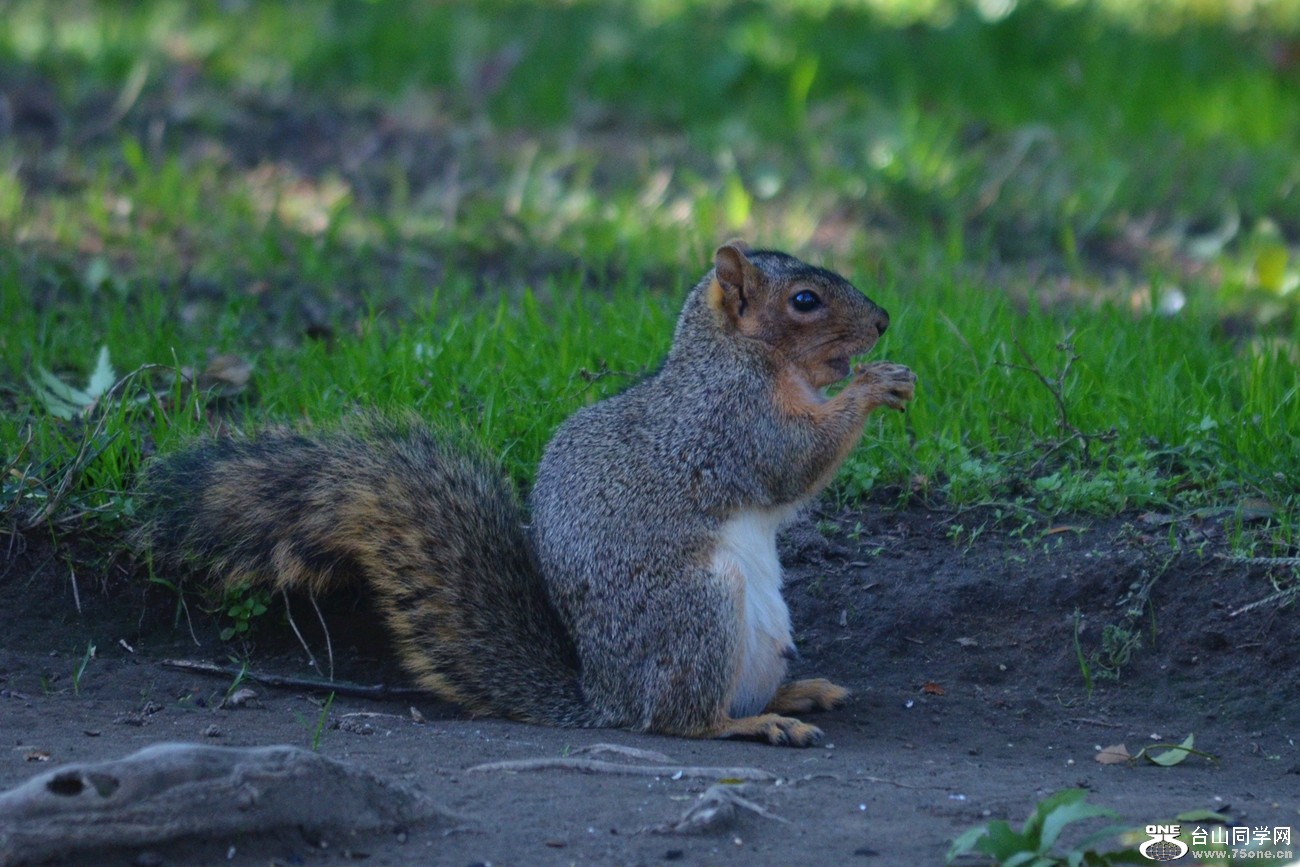 DSC_0011_111.jpg