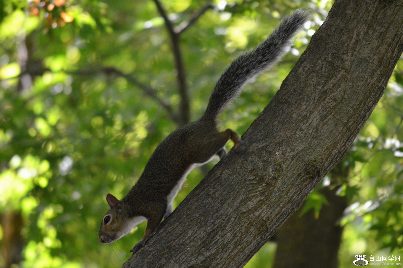 DSC_0207_20.jpg