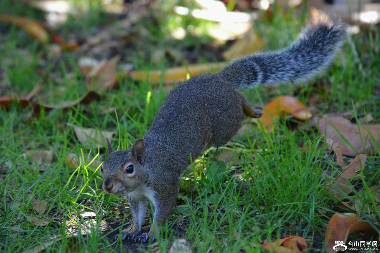 DSC_0811_32.jpg