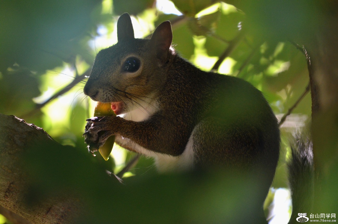 DSC_0140_07.jpg