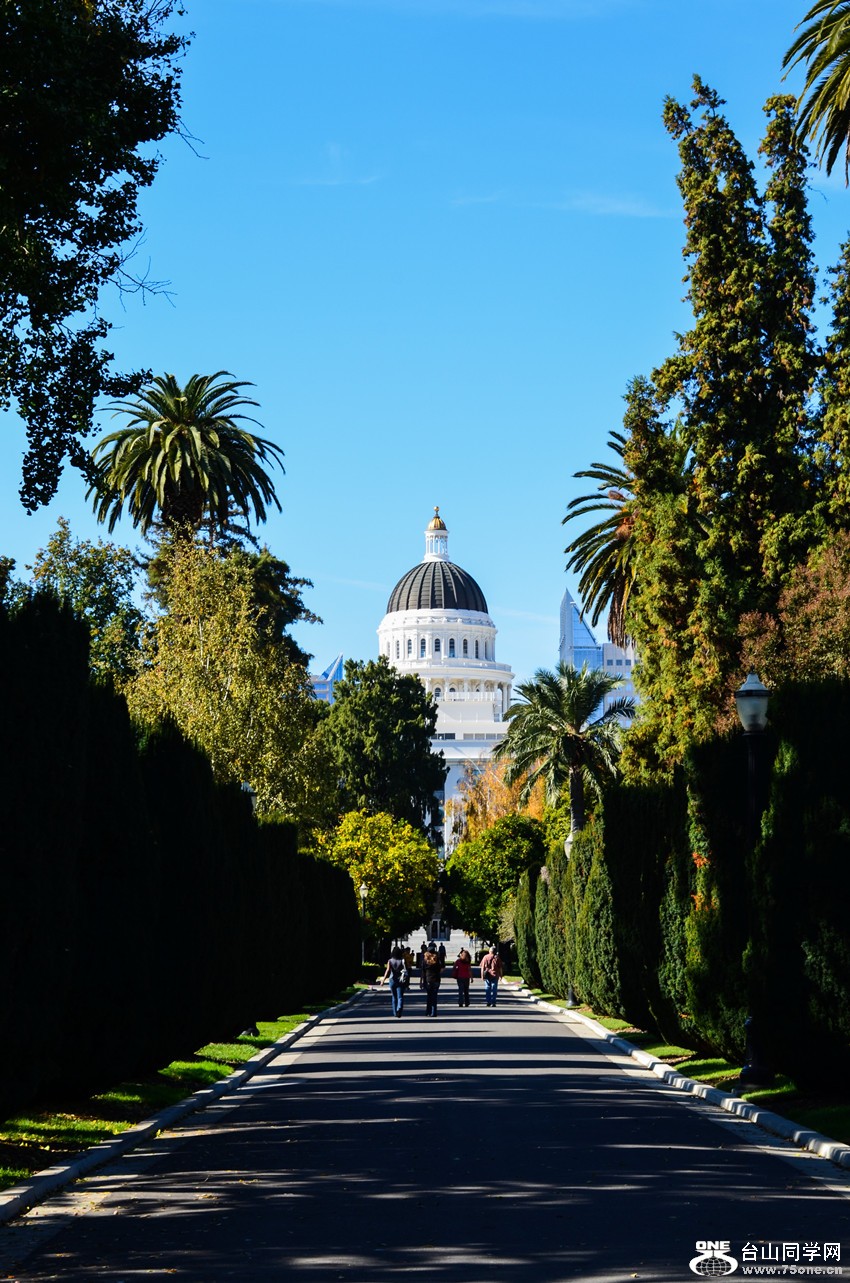 DSC_0326_06.jpg