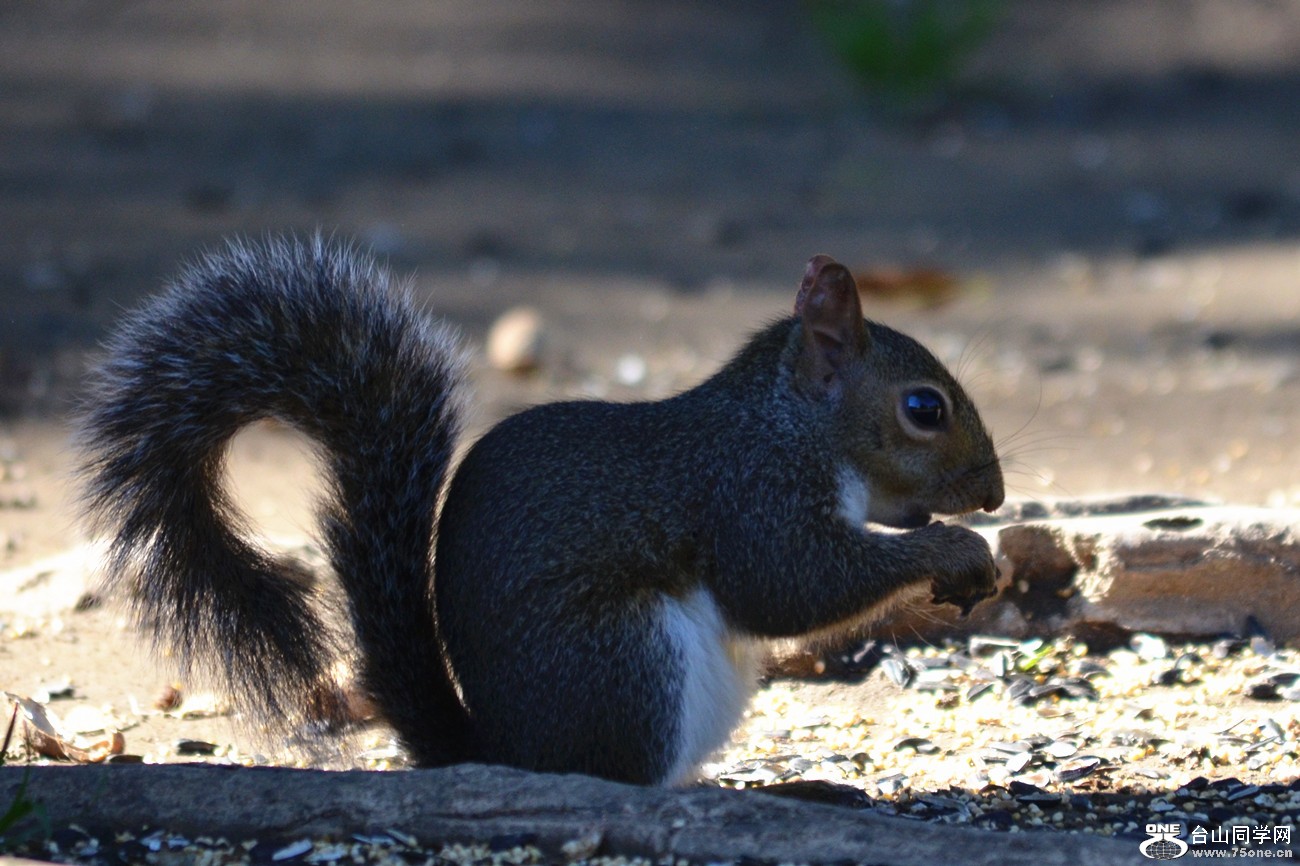 DSC_0018_10.jpg