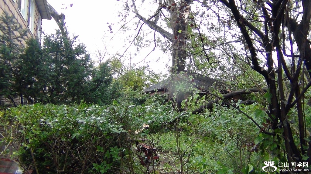DSC00308 (1024x576).jpg
