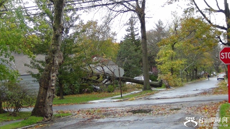 DSC00287 (800x450).jpg