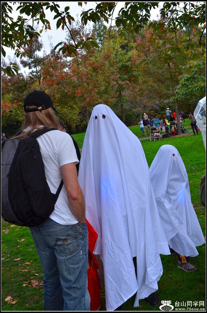 DSC_8247.jpg