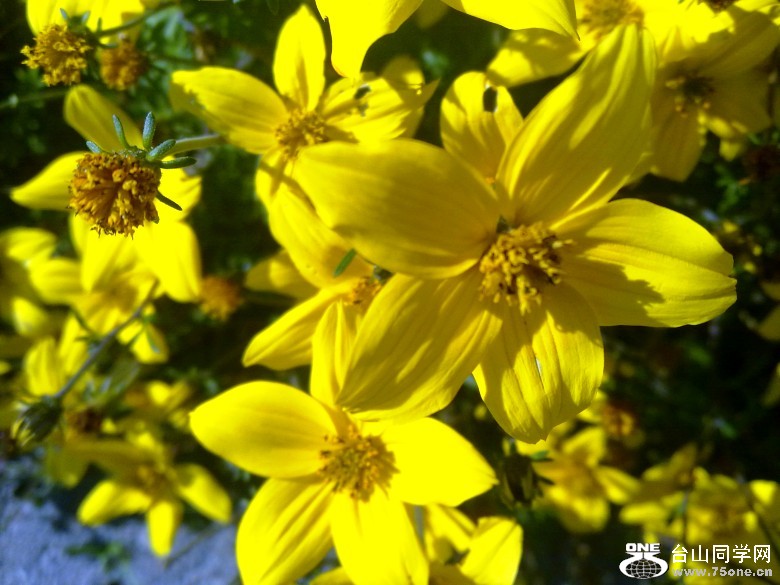 201210201601_conew1.jpg
