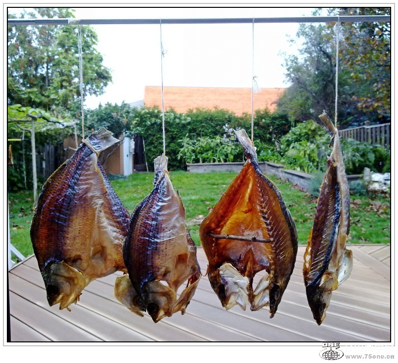 201210101560_conew2.jpg