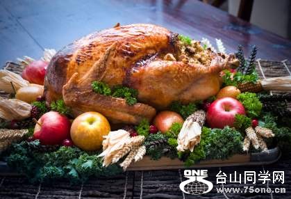 Thanksgiving-Dinner-Ideas-Turkey[1].jpg