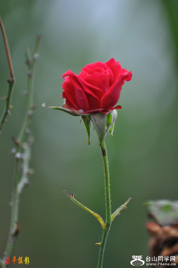 DSC_4330.JPG