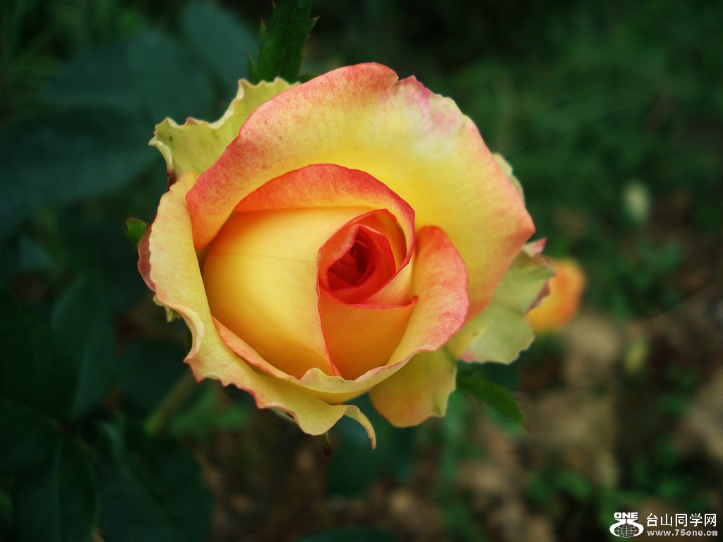 DSC00011.JPG