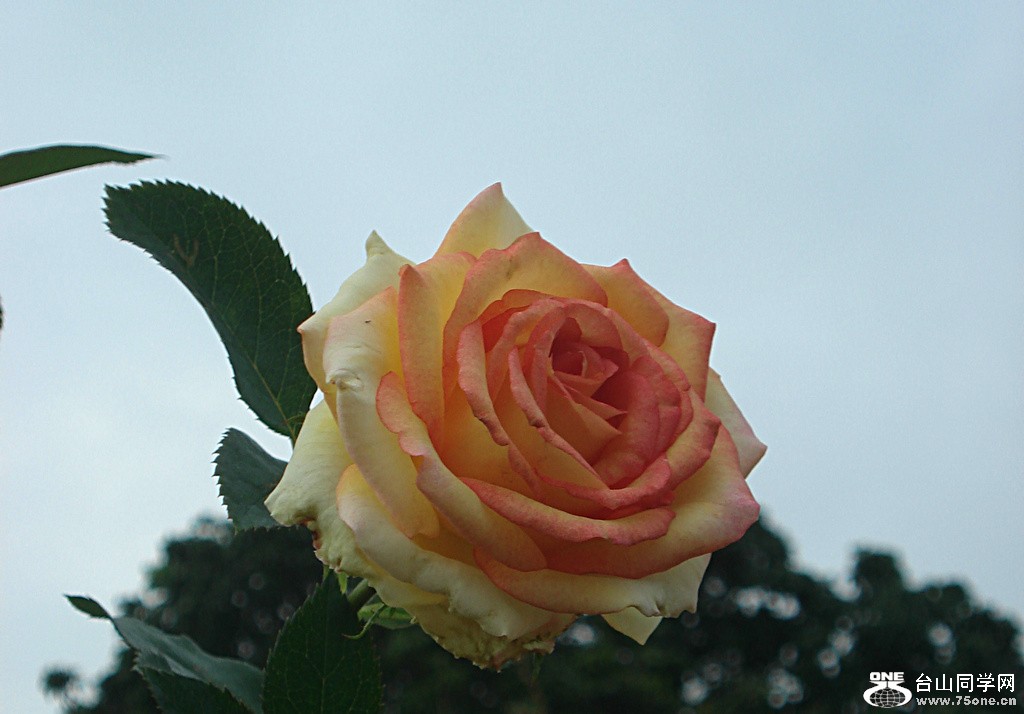 DSC00147.jpg