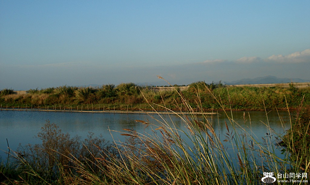 DSC00421.jpg