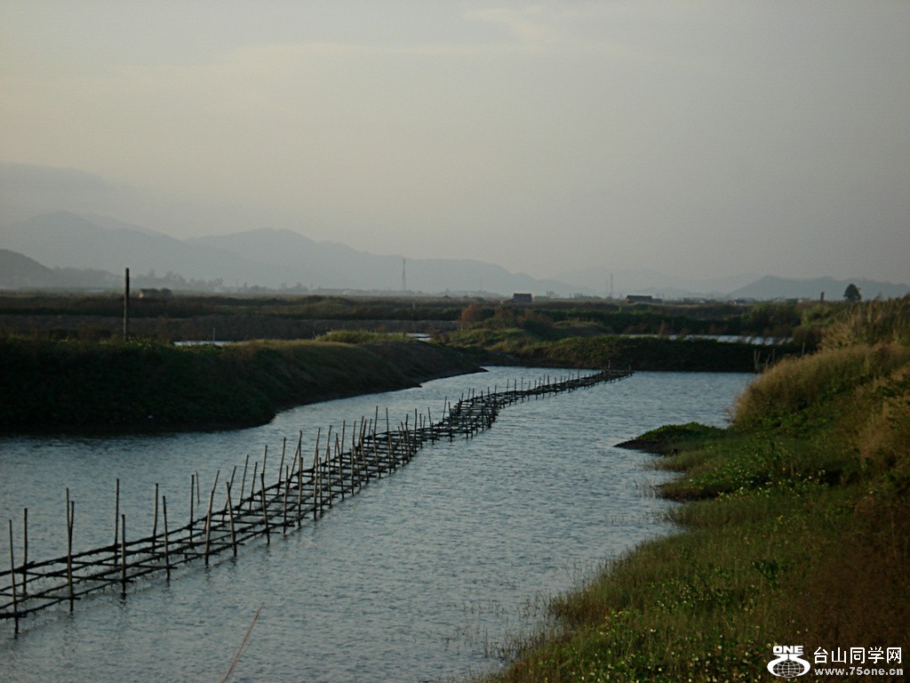 DSC00419.jpg