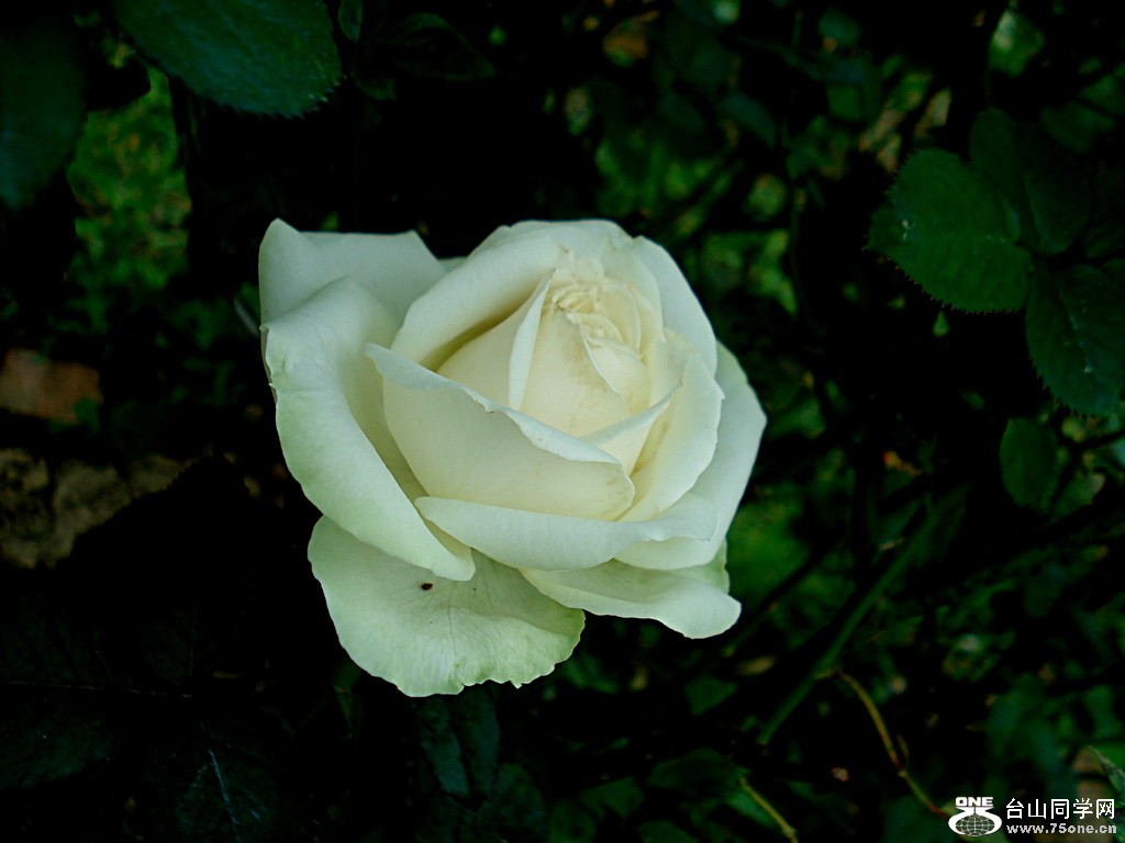 DSC00069.jpg