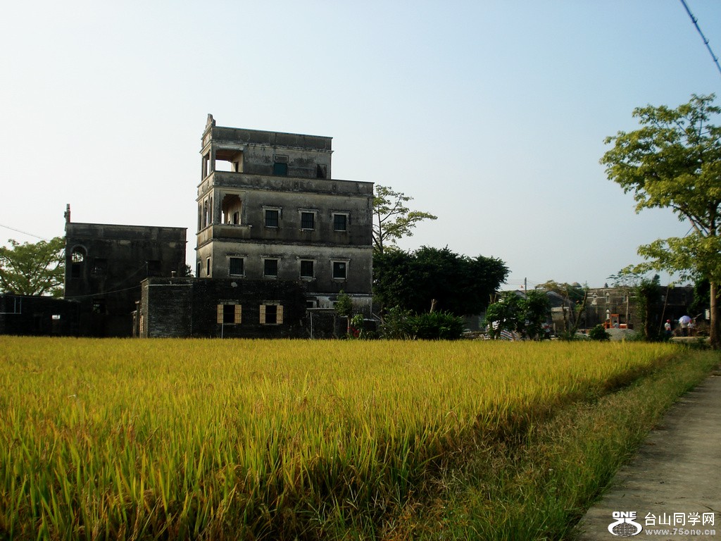 DSC00100.jpg