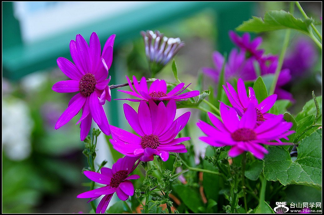 DSC_3628.jpg