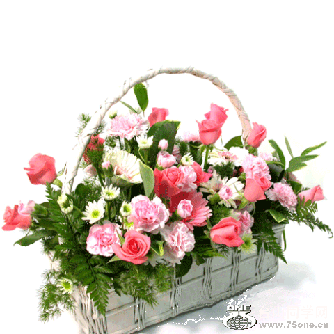 8304fa174510fc9ac2fd783e.gif