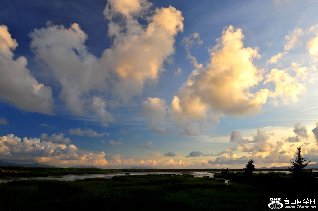 DSC_5259.jpg