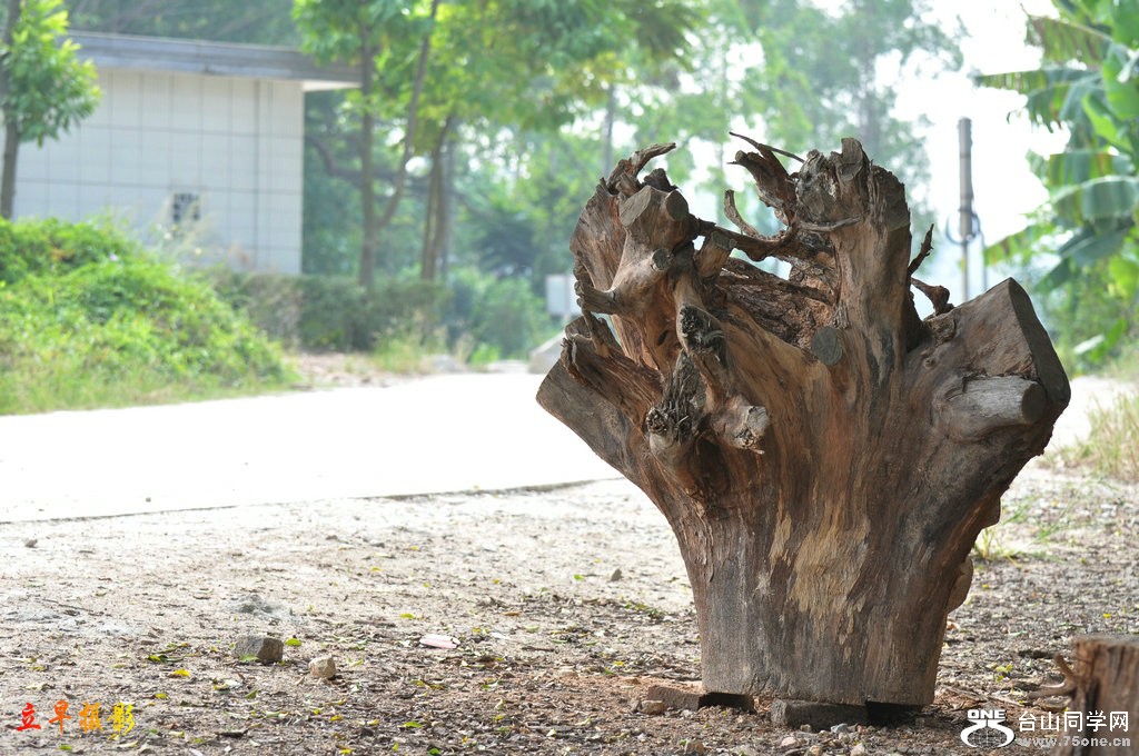 DSC_3569.JPG