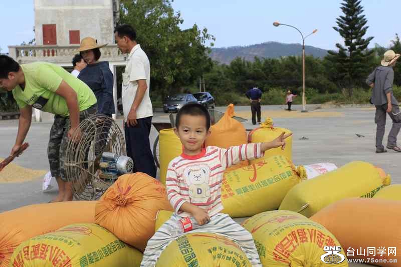 ��ɽ��ʯ�ո�2012.11. 297.jpg