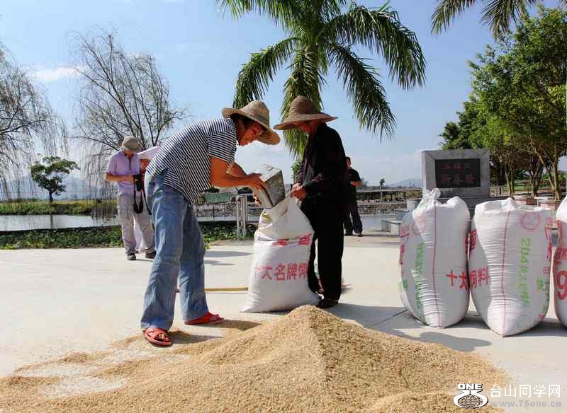 ��ɽ��ʯ�ո�2012.11. 237.jpg