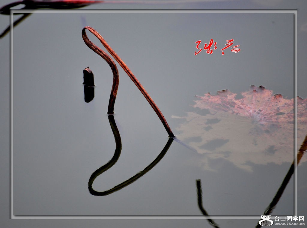 DSC_5355_conew1.jpg