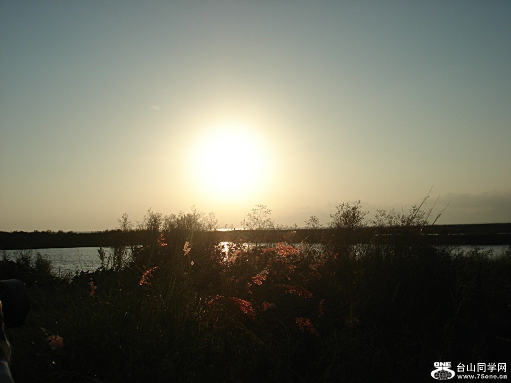 DSC00420.jpg